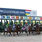 gulfstream park horse racing bet